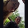 brianwilloug325